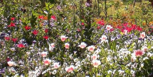 giverny