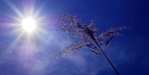 calore caldo sole siccità