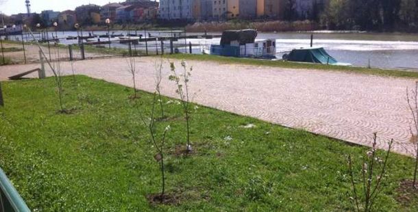 fiori-albero-frutta-wunderkammer-ferrara