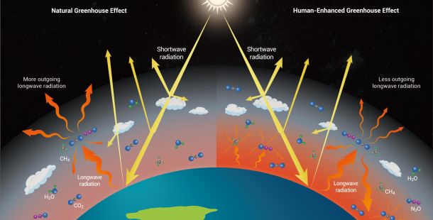 THE MITIGATION REVOLUTION
