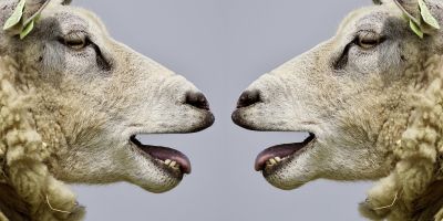 Il Nemico Necessario. Come la sovranità perduta si è rifugiata nei corpi delle minoranze