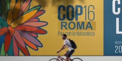 I SUPPLEMENTARI DELLA COP16 SULLA BIODIVERSITA’ e LA GIORNATA MONDIALE DELL’ACQUA