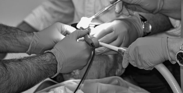 chirurgia assistenza aiuto emergenza