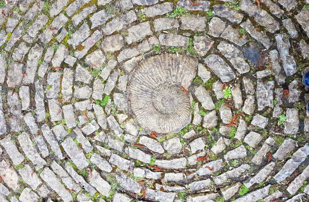 Per certi versi / Scegli una mia parola e mettila in tasca