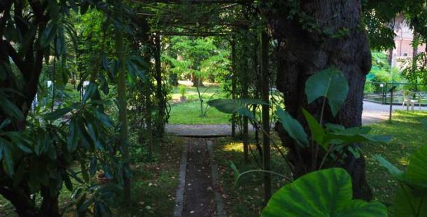 orto-botanico-universitario-ferrara