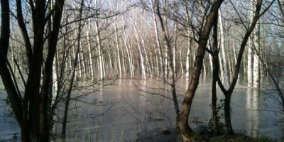 po-piena-gessi-fontanelli