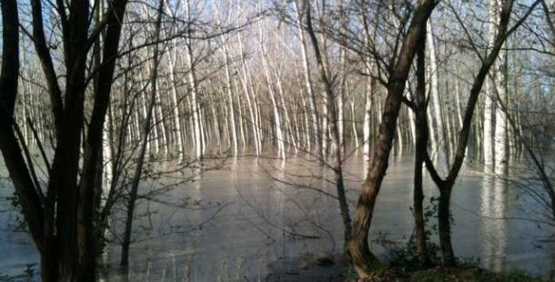 po-piena-gessi-fontanelli