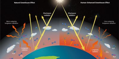 THE MITIGATION REVOLUTION