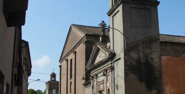 sagra-anitra-stellata