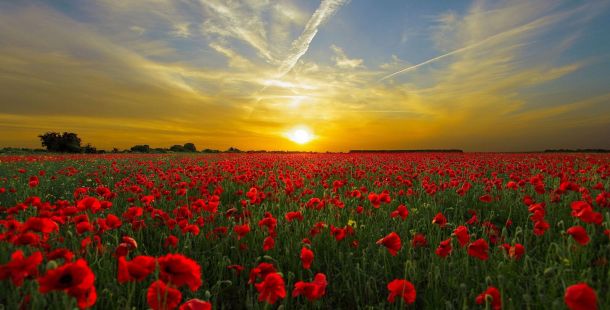 Presto di mattina. L'Assunta, varcar la soglia e uscire al sole