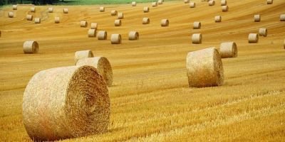 domani si va in campagna