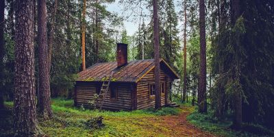 la famiglia nel bosco e il nuovo ordine simbolico