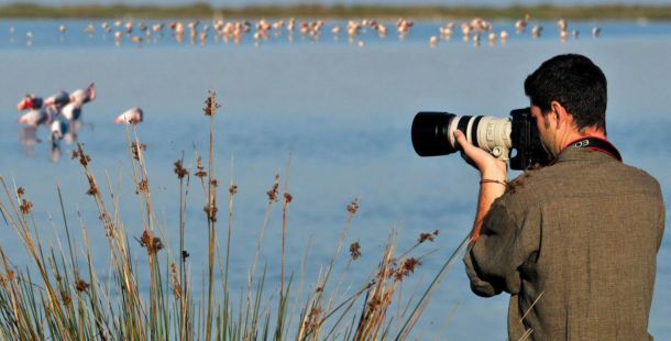 birdwatching-fotografia