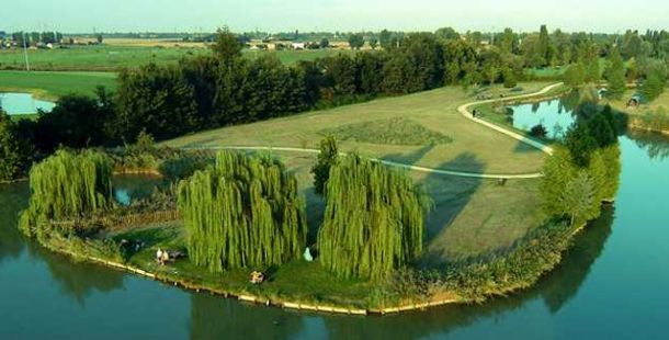 ragionare-da-alberi