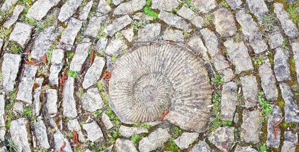 Per certi versi / Scegli una mia parola e mettila in tasca