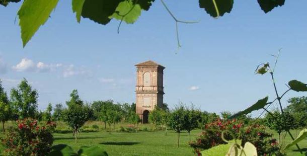 manutenzione-giardini-considerazioni