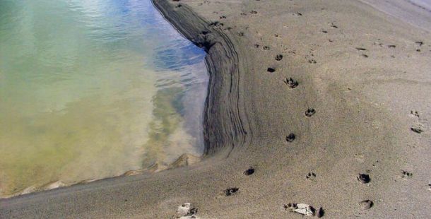 pozzo deserto orme