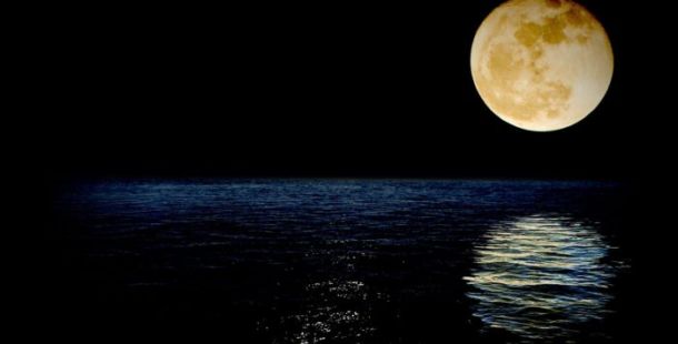 luna color miele