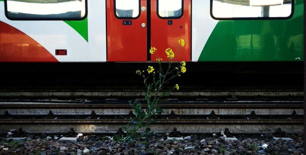 treno-in-fiore-primavera-trenitalia-stazione-ferrara-stefano-pavani