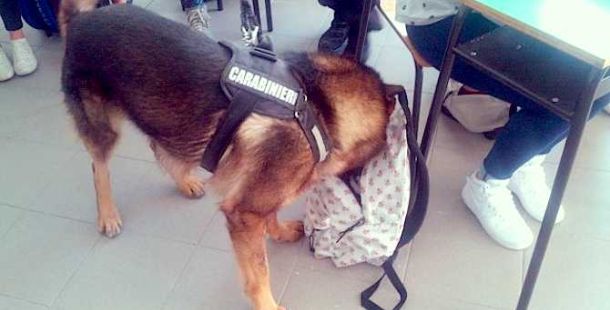cane-antidroga-a-scuola