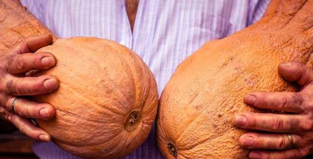 zucca-turismo-ferrara