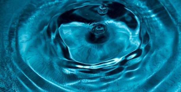 acqua polla bolla