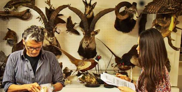 tassidermista-stefano-mazzotti-museo-storia-naturale-ferrara-marco-caselli