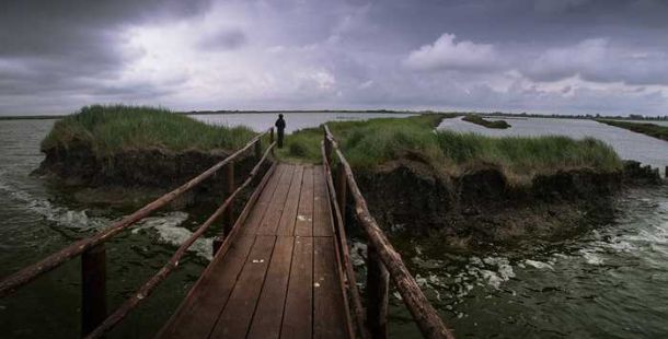 comacchio-valle-campo-delta-po-luca-zampini
