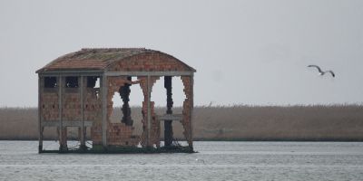 Il mio Delta