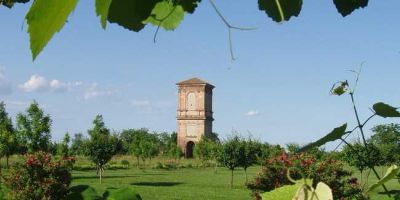 manutenzione-giardini-considerazioni