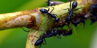 L’istinto bioetico del dono gratuito alla prova dell’individualismo moderno