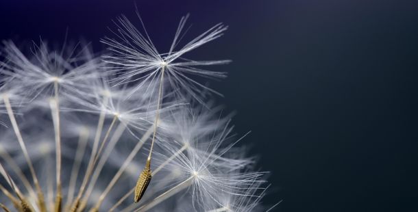 presto di mattina natale invocazione d'identità