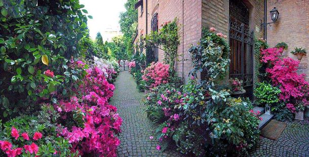 giardino