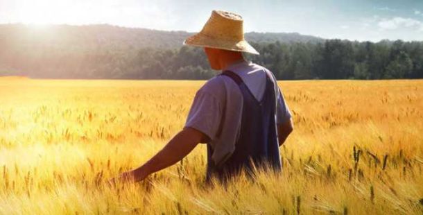 agricoltura