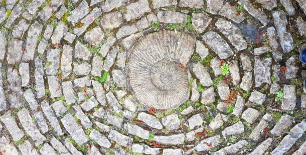 Per certi versi / Scegli una mia parola e mettila in tasca