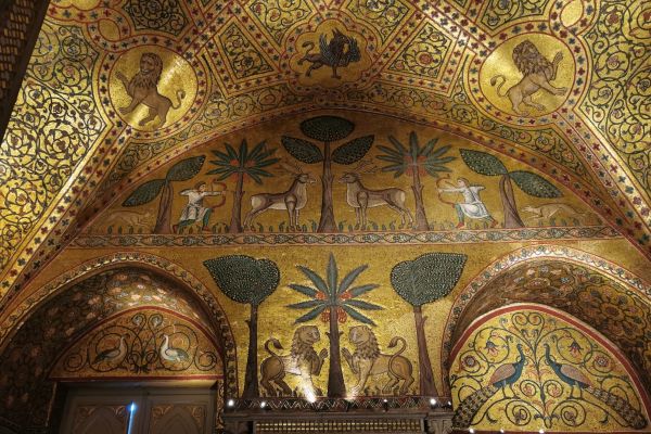 SAFARI TRA GLI ALBERI GIGANTI DI PALERMO