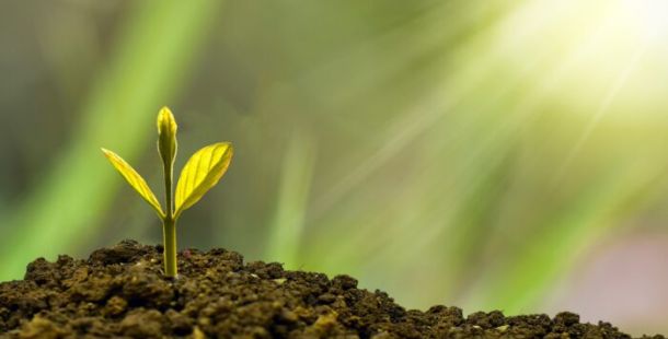 investimento banca etica germoglio
