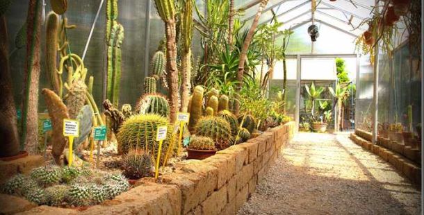 orto-botanico