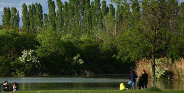 Vasco Rossi, il premio per la tutela dell'ambiente e i concerti in programma al Parco Urbano