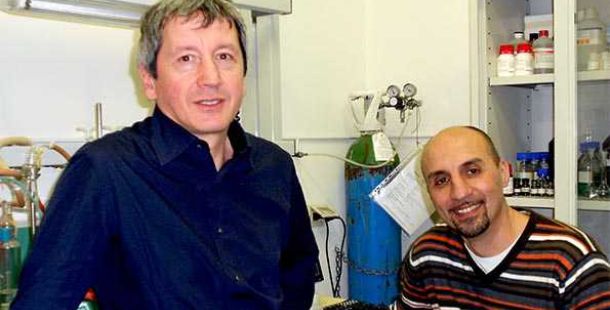 fusi-fanelli