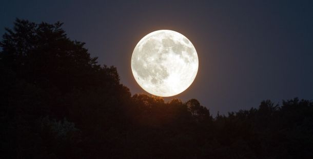presto di mattina nei miei occhi i tuoi occhi