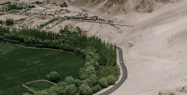 Cina: la "Grande Muraglia Verde" che sta fermando il deserto