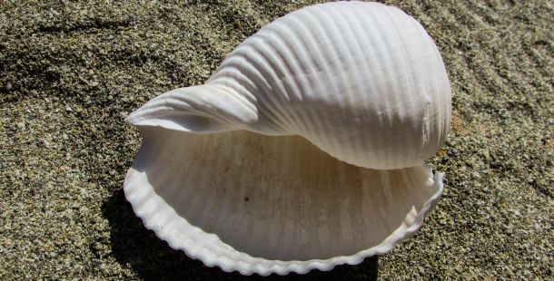 Presto di mattina. Ispirazione, pietra e porta