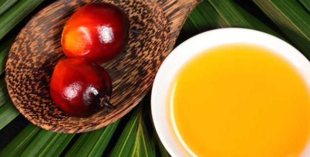 olio-di-palma