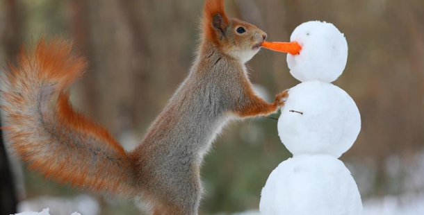 pupazzo-neve