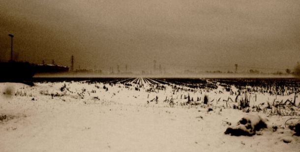 campo sotto la neve