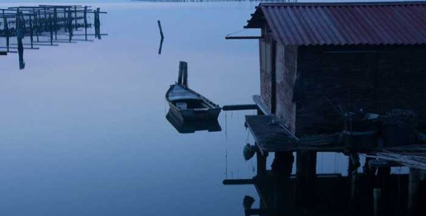 sacca-scardovari-porto-tolle-delta-po-luca-zampini
