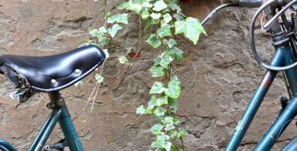 bicicletta