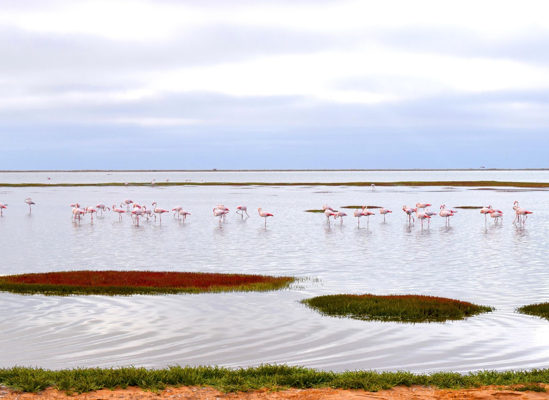 Una striscia di schiuma rosa Un ricordo