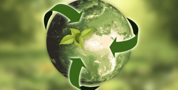 natura ecologia